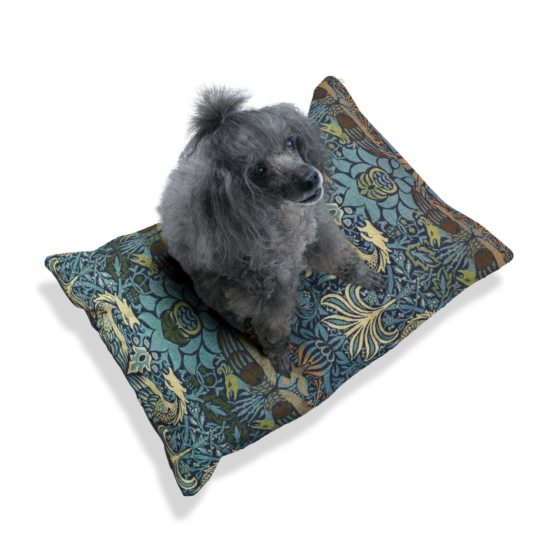 Dog sitting on a patterned pillow with a white background