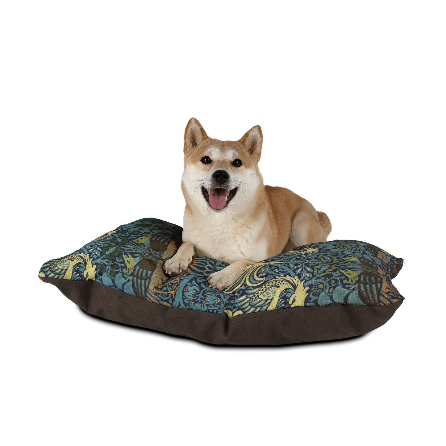 Dog sitting on a patterned pet bed with a white background