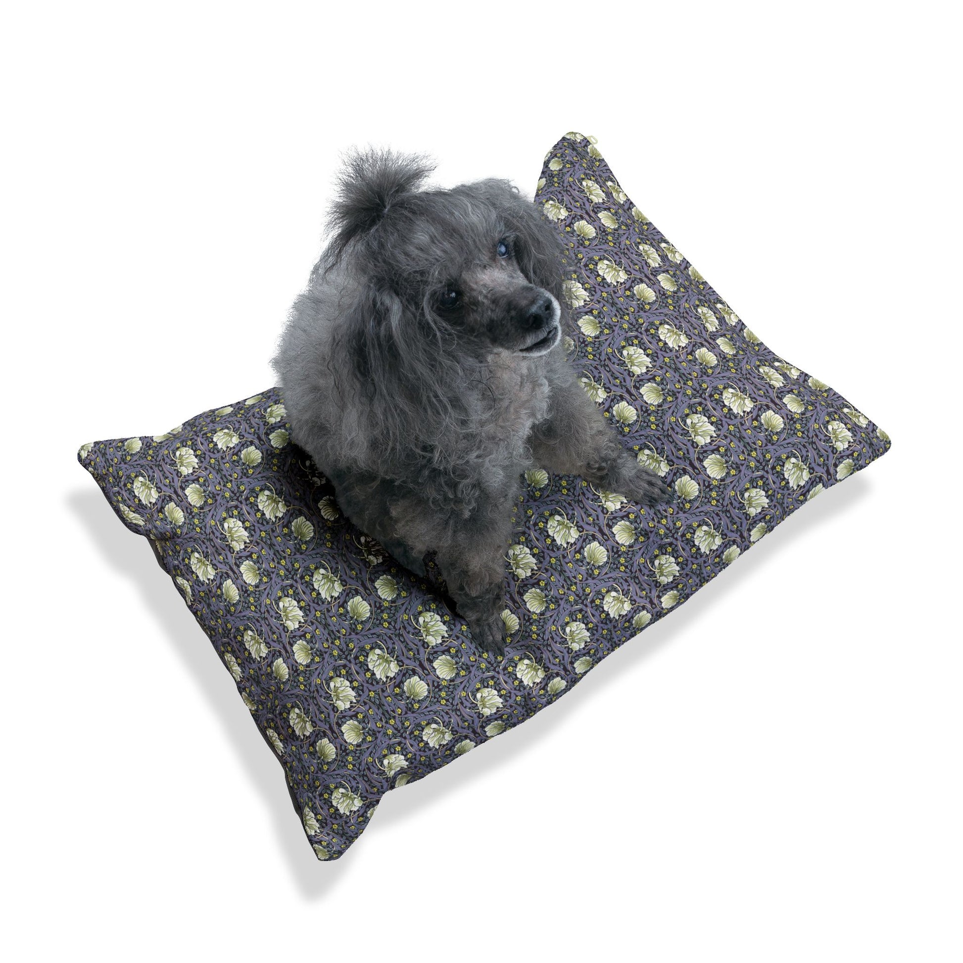 Gray poodle sitting on a patterned dog bed against a white background