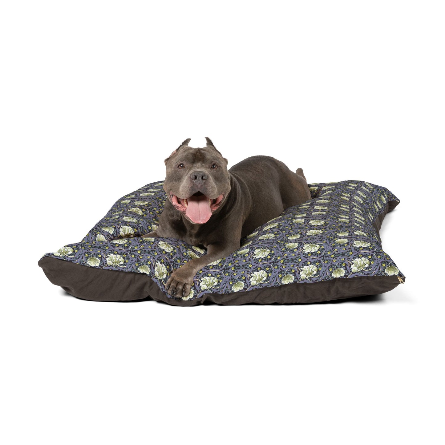 Dog lying on a William Morris & Co patterned dog bed with a white background