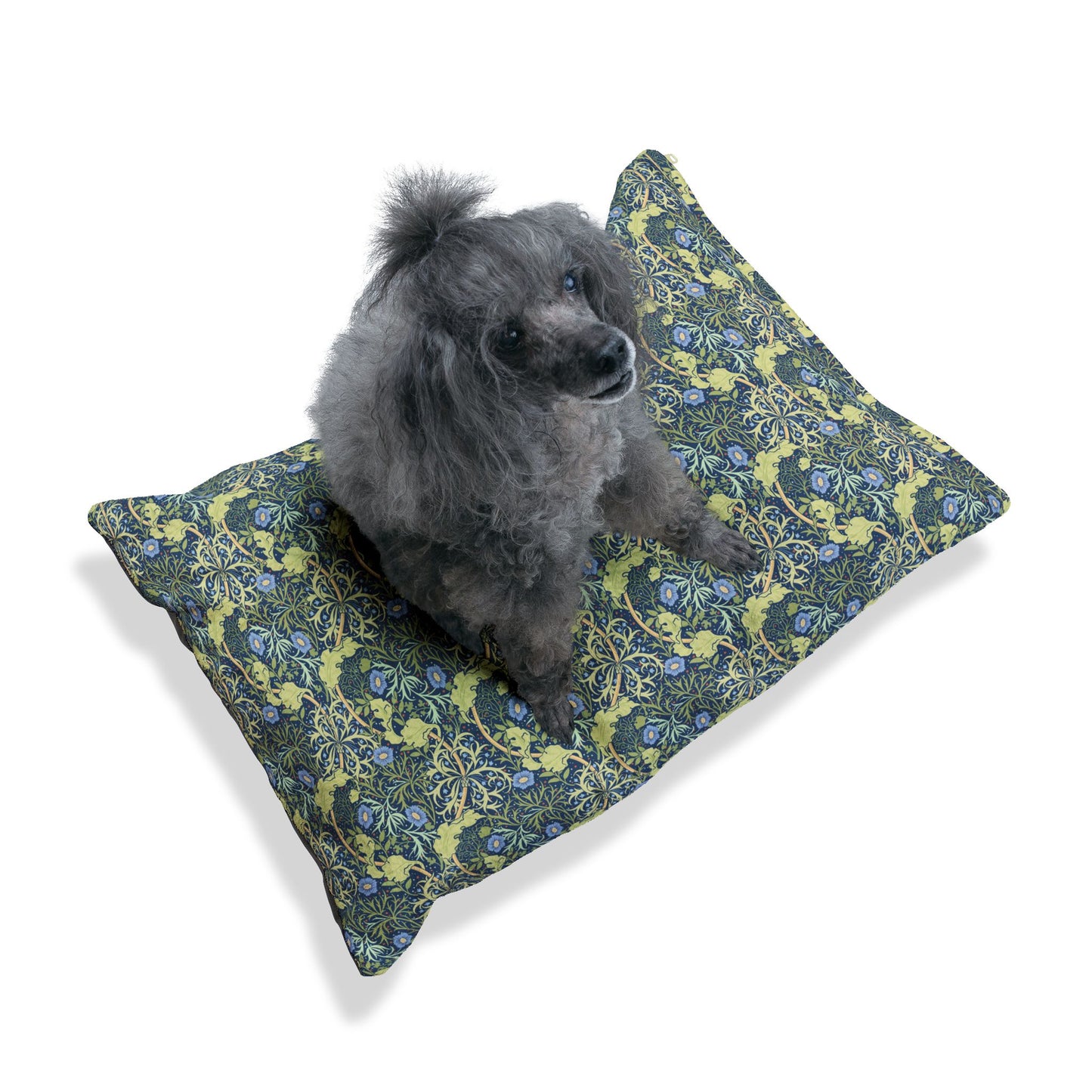 Dog sitting on a floral-patterned dog bed with a white background