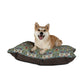 Dog sitting on a floral-patterned dog bed with a white background