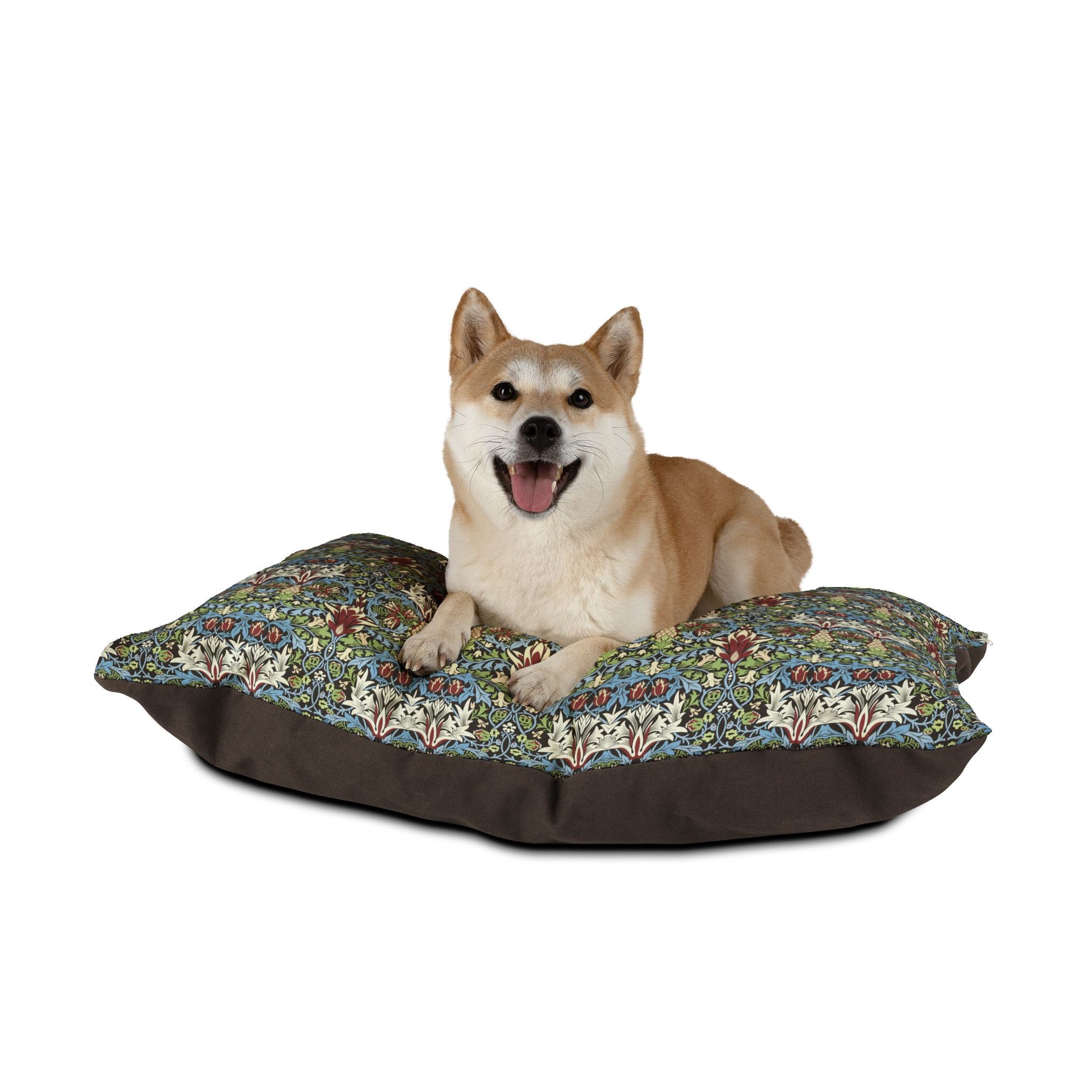Dog sitting on a floral-patterned dog bed with a white background