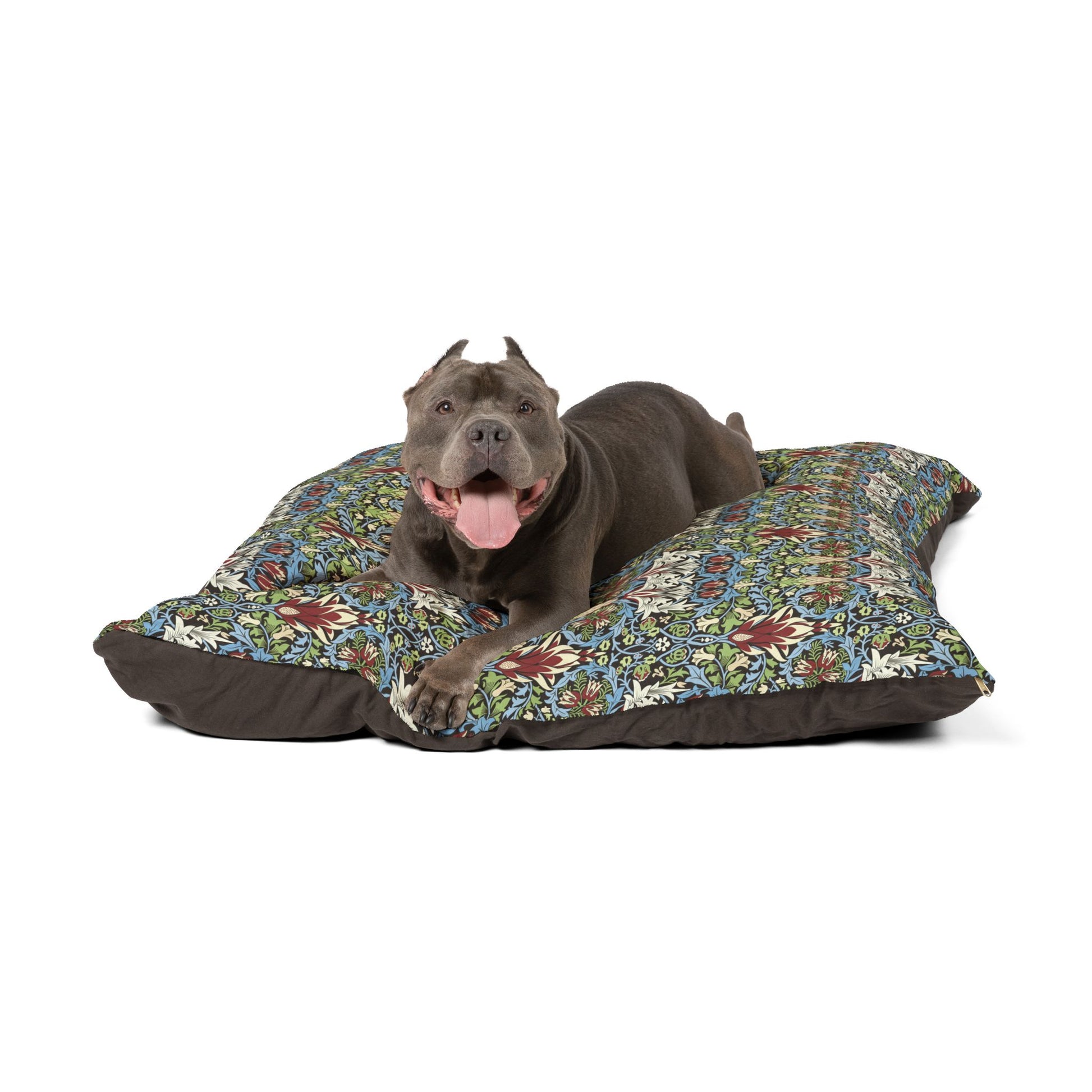 Dog lying on a floral-patterned dog bed with a white background