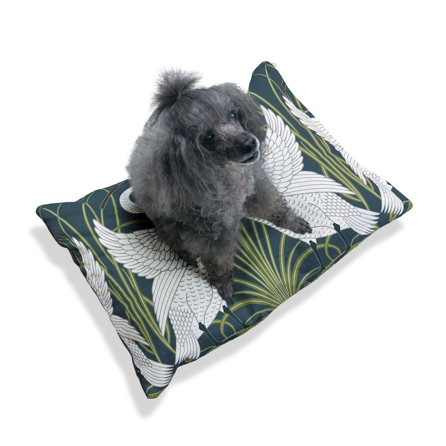 Dog sitting on a William Morris & Co decorative pillow with bird pattern
