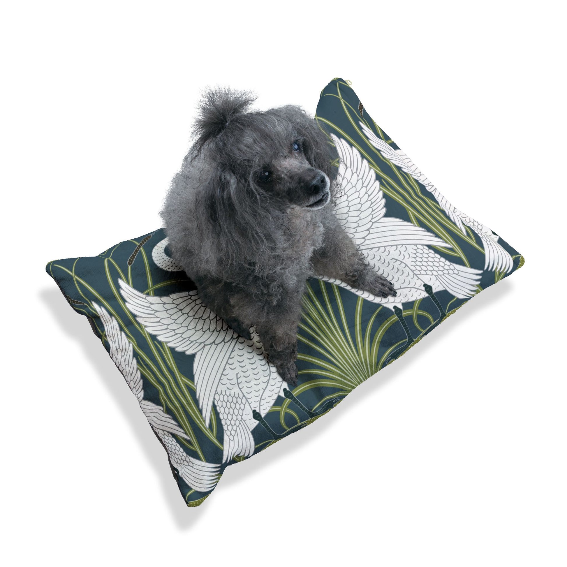 Dog sitting on a William Morris & Co decorative pillow with bird pattern