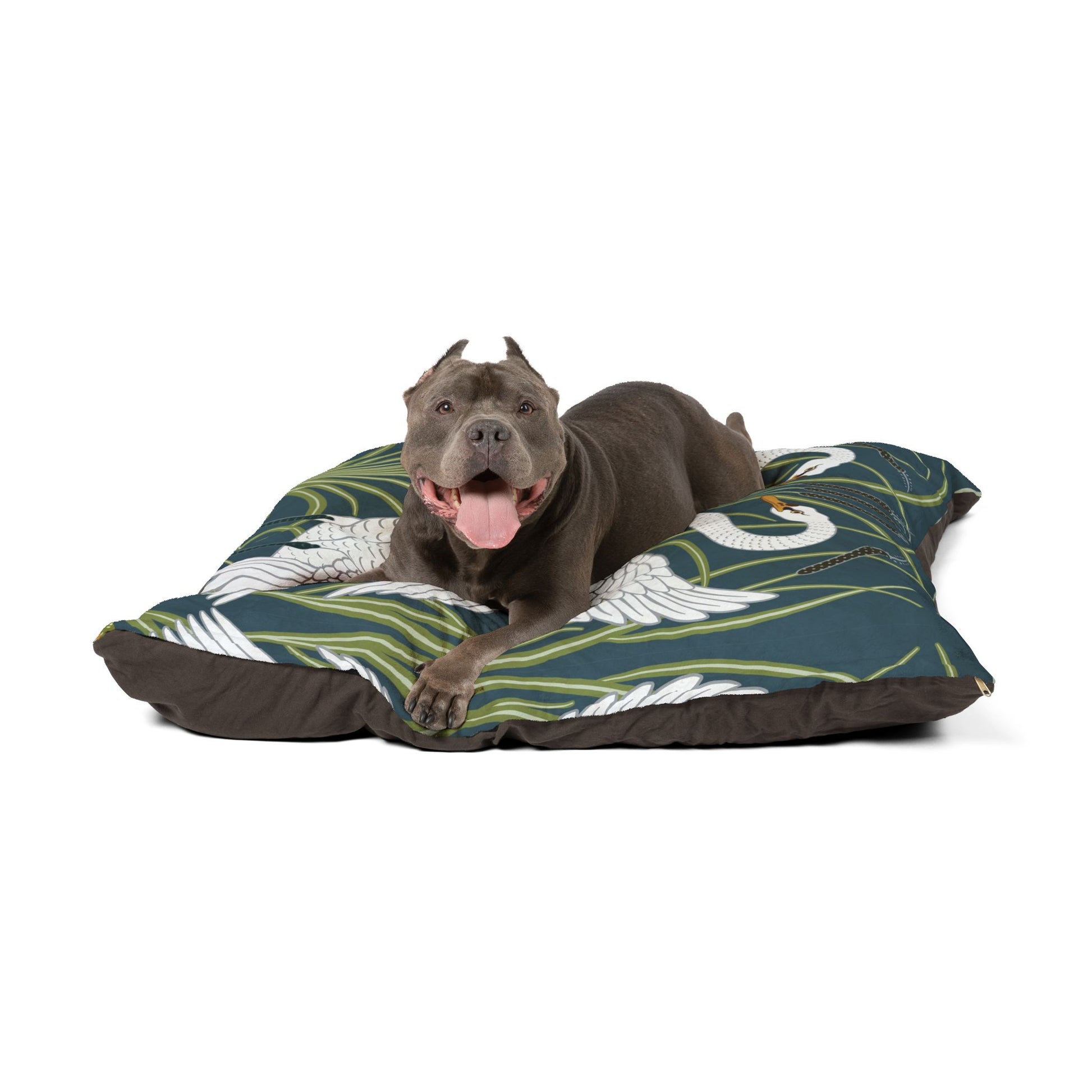 Dog lying on a William Morris & Co patterned dog bed with a white background