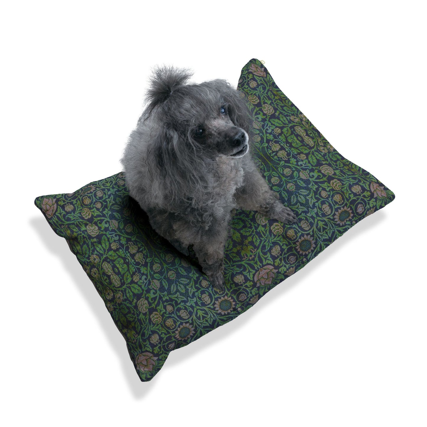 Dog sitting on a William Morris & Co patterned green cushion against a white background