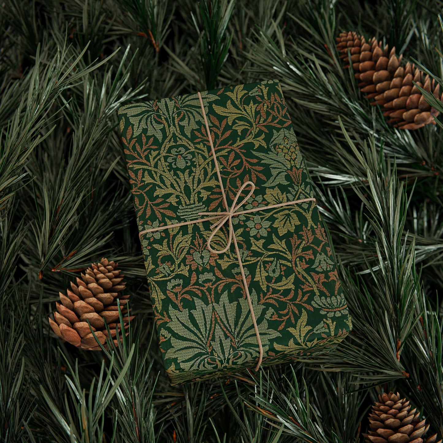 Green patterned gift box tied with string on pine branches with pine cones.