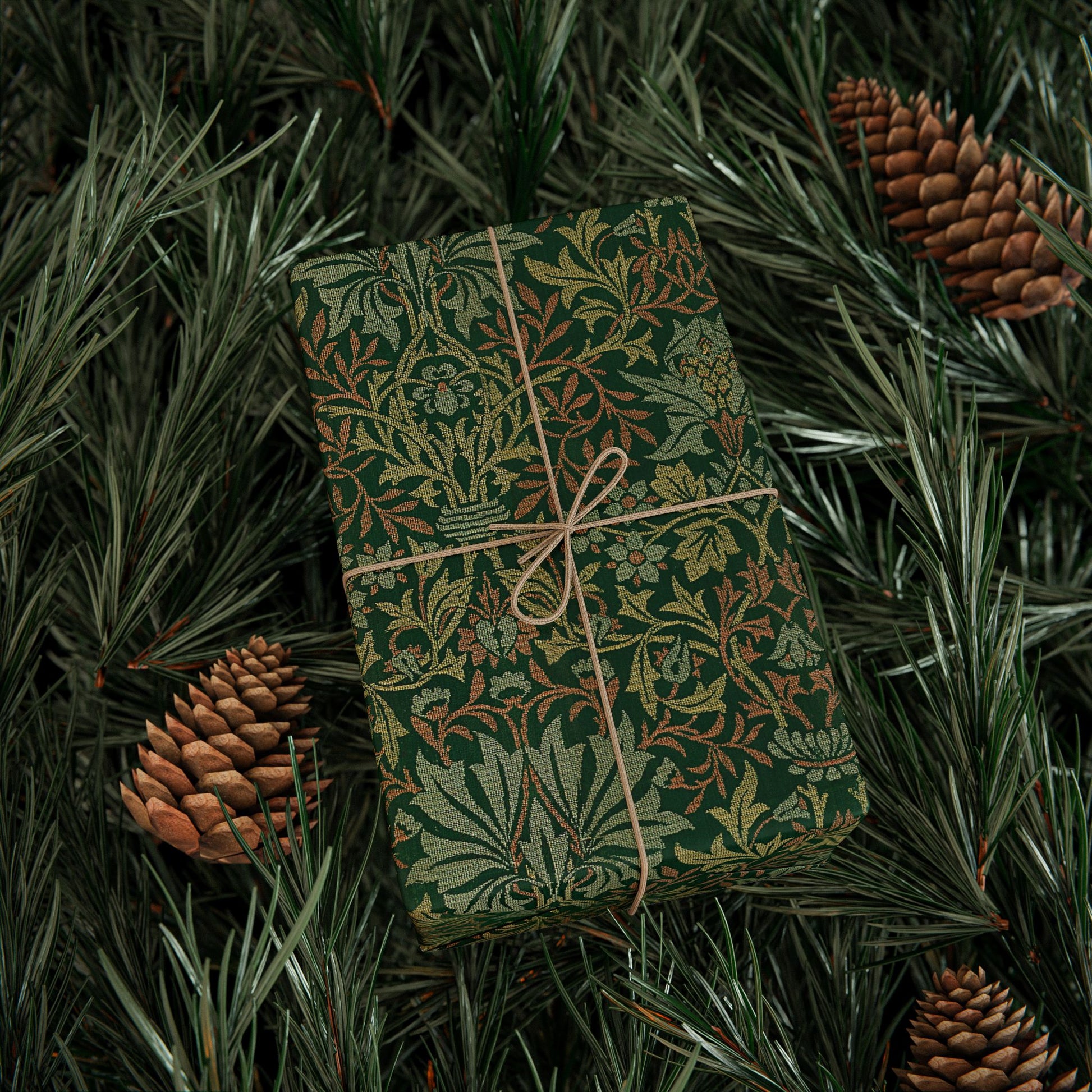 Green patterned gift box tied with string on pine branches with pine cones.