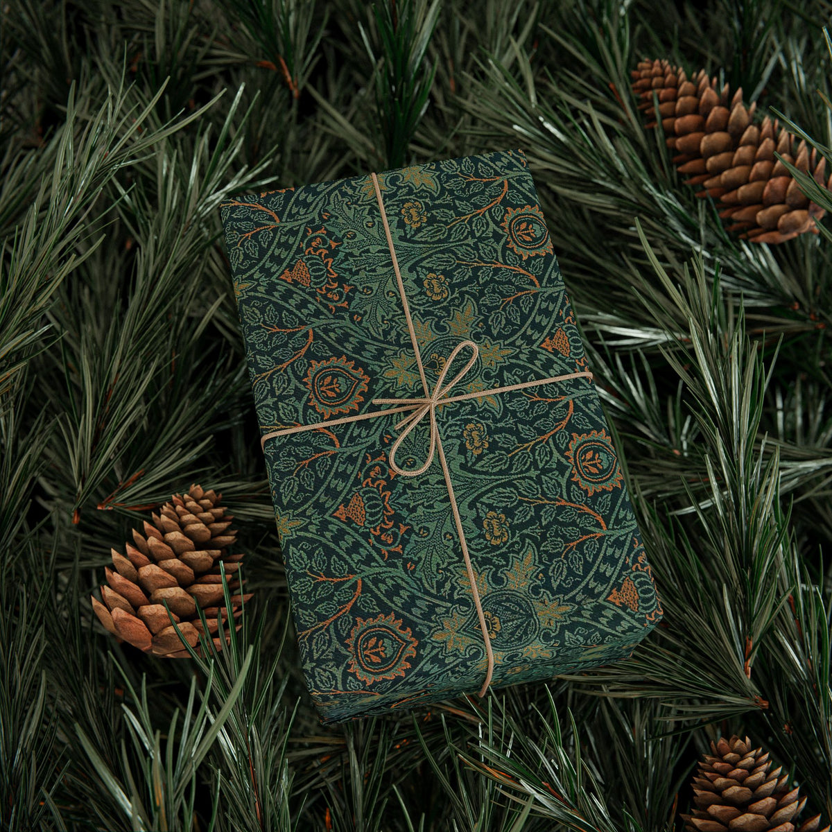 Gift wrapped in green patterned paper with string, surrounded by pine branches and cones.