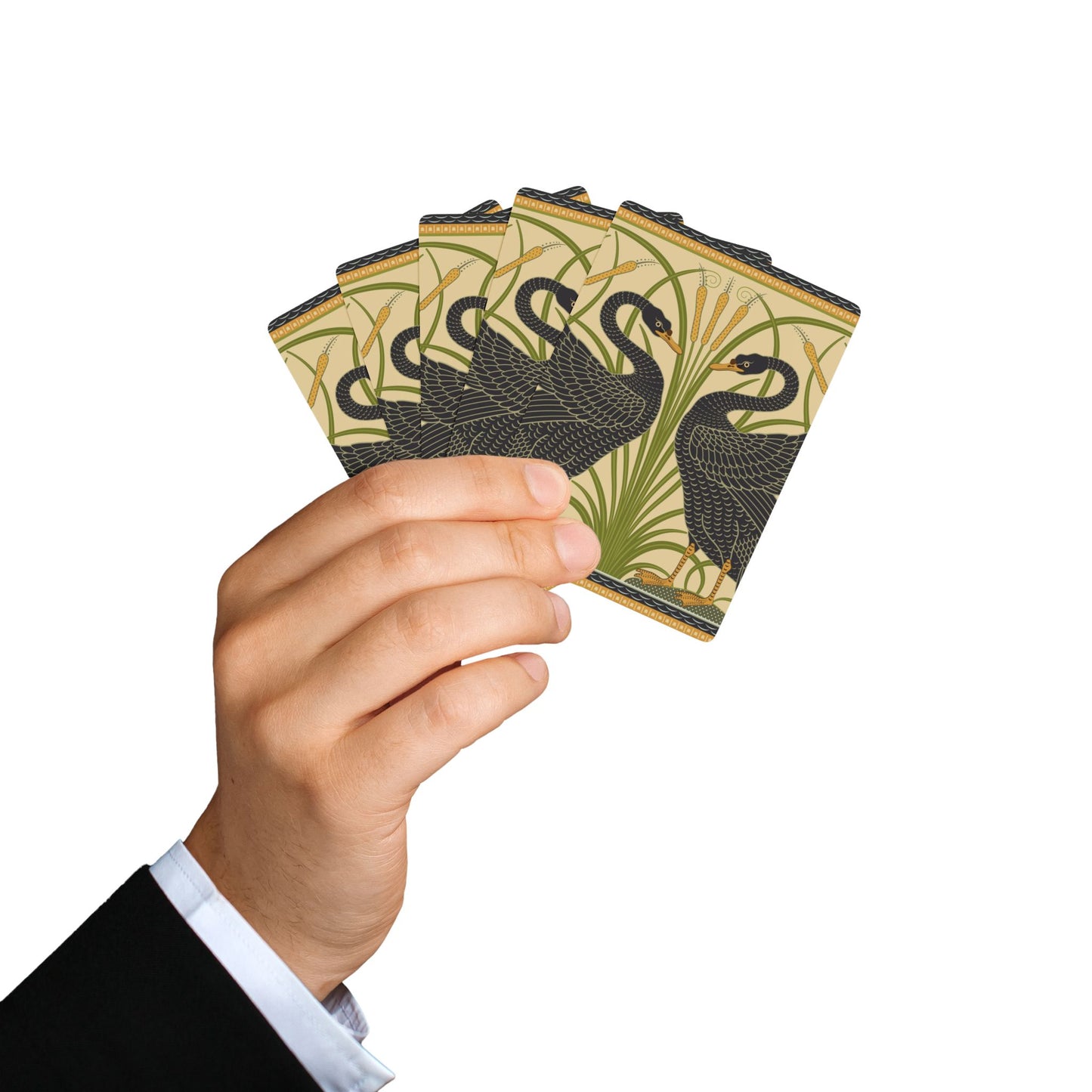 Hand holding a set of playing cards with black swan design on a white background
