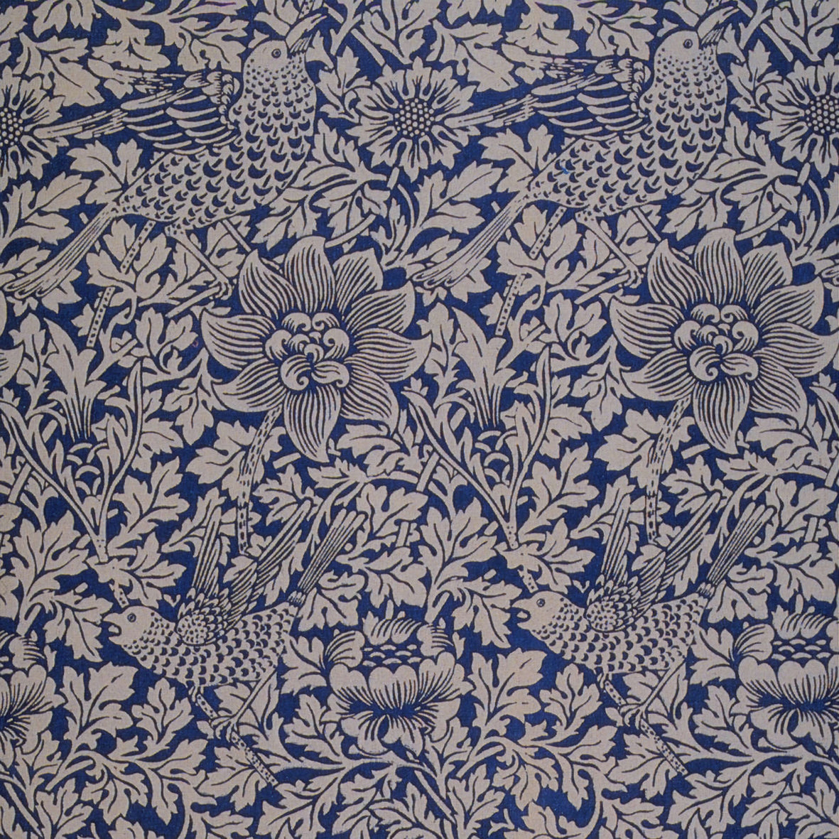 Shop Bird and Anemone Collection inspired by William Morris