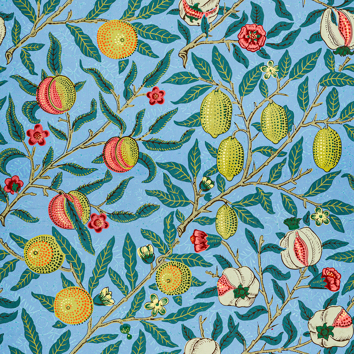 william-morris-co-kitchen-towel-four-fruits-collection-11